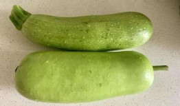 烂瓜可吃吗,合理处理仍可利用