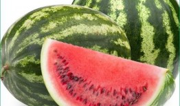 痛风可以吃瓜花吗,营养与健康的平衡之道