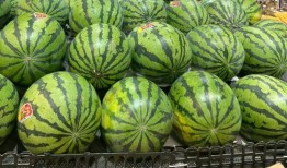 东莞娜娜吃瓜群,揭秘网络社交背后的八卦风云