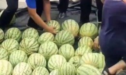 汾阳吃瓜事件官方回应,汾阳吃瓜事件真相与处理结果