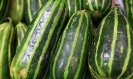 脆肉瓜怎么吃,解锁美味新体验