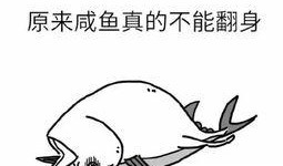 吃咸鱼的瓜娃子,咸鱼瓜娃子的生活哲学与人生感悟