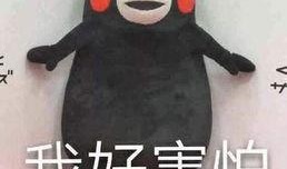 热门吃瓜事件盘点,娱乐圈风云再起，社会热点一网打尽