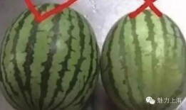 吃瓜好还是水果好,吃瓜好还是水果好？”