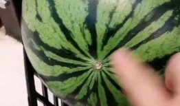 天天吃靑瓜好吗,健康生活每一天