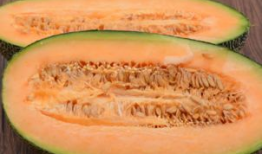 日剧吃哈密瓜,日剧中的哈密瓜美食之旅