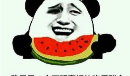 采访吃瓜群众,他们眼中的娱乐圈风云