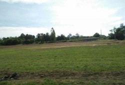 树下吃瓜拍照,定格美好瞬间