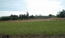 树下吃瓜拍照,定格美好瞬间