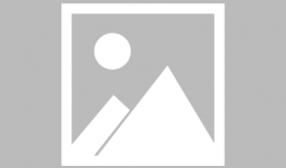 没心情吃瓜,揭秘没心情吃瓜的内心世界