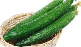 来宾常吃的瓜,探寻当地特色瓜类美食之旅