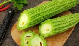 有挺多瓜吃,一场关于美食与生活的趣味之旅