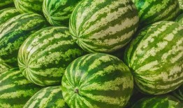 吃瓜网叫啥,网络舆论场上的“瓜王”传奇