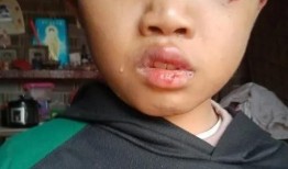 吃瓜12岁男孩,揭秘网络“吃瓜”文化的魅力与隐忧