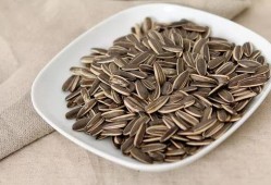 瓜子里的瓜酱怎么吃,瓜子里的美味新体验