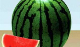 没心情吃瓜,揭秘没心情吃瓜的内心世界