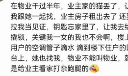 吃瓜少言寡语的瓜,少言寡语的吃瓜群众揭秘