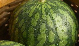 清甜吃瓜,夏日解暑新宠