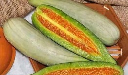 特别吃瓜唐喆,揭秘娱乐圈背后的那些事儿