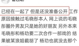 吃瓜群众杨某某,揭秘娱乐圈幕后故事