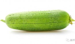 可以吃的瓜都有啥品种,盘点可食用瓜类的丰富品种