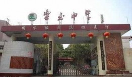 乐至中学吃瓜,揭秘校园里的热点话题