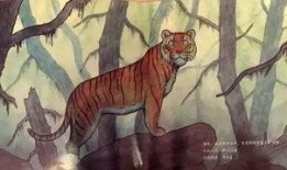 老虎吃瓜故事,一场意外的森林奇遇