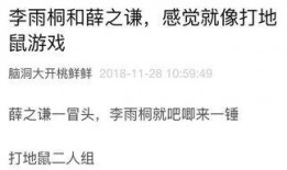 吃瓜日记薄,揭秘娱乐圈幕后故事