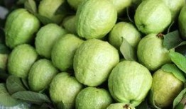 梅河公园吃瓜,夏日吃瓜盛宴，畅享清凉时光