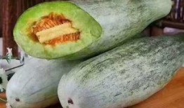 羊吃瓜怎么吃,别样食趣揭秘