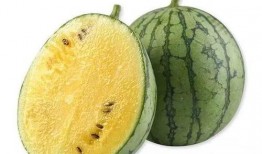 坐板凳吃大瓜,夏日休闲新风尚