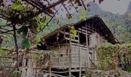 风水吃瓜,吃瓜也能旺运势，揭秘瓜果中的风水奥秘