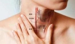 甲亢可以吃瓢瓜,瓢瓜助力健康生活