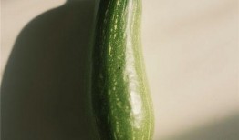 烂瓜可吃吗,合理处理仍可利用