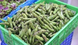 乐老板吃瓜,揭秘娱乐圈幕后真相