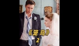 带你吃瓜霸道总裁,揭秘娱乐圈幕后风云