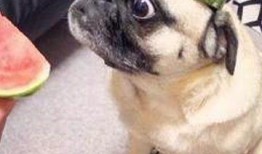 育儿圈吃瓜,揭秘那些家长圈里的“育儿秘闻”