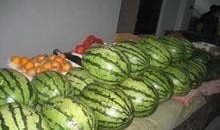 缔景城吃瓜,一场吃瓜盛宴背后的故事