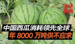 全球吃瓜全部,一场全民参与的美食狂欢