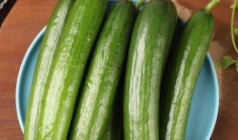 吃瓜小黄小谢,揭秘娱乐圈的甜蜜瓜田