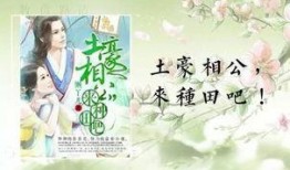 穿越吃瓜下乡小说