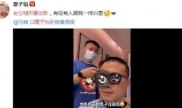 吃瓜视频大儿子,揭秘娱乐圈背后的故事