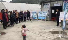 项城吃瓜事件进展,追踪进展，揭秘背后真相