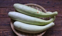 吃潮汕瓜去哪里买,探寻最佳购买地指南