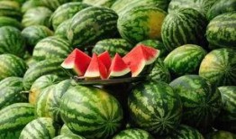 瓜怎么挖着吃,探索如何轻松挖着吃的新方法