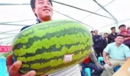 7月吃瓜视频,盘点热门吃瓜视频大盘点