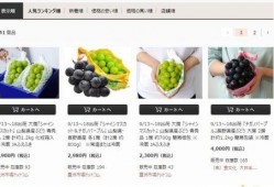 日本吃瓜的网站,热门话题一网打尽