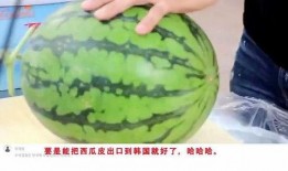 对吃瓜的看法,揭秘网络舆论场中的众生相