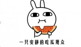 吃瓜群众吃瓜是什么意思,揭秘“吃瓜群众”背后的网络文化现象