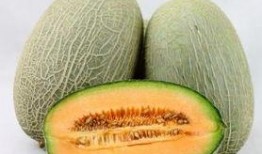 来姨妈晚上吃哈密瓜好吗